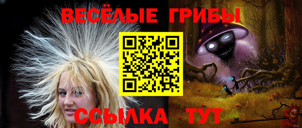 Тихорецк  наркота  Вход с VPN  Галлюциногенные грибы MAGIC MUSHROOMS 