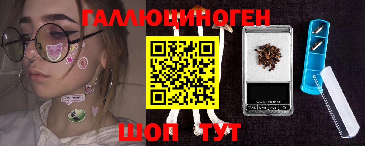 Галлюциногенные грибы Psilocybine cubensis Тихорецк